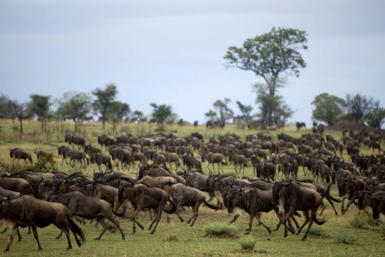 Serengeti National Park