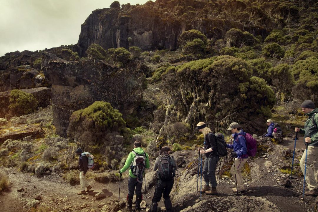 machame-route.jpg